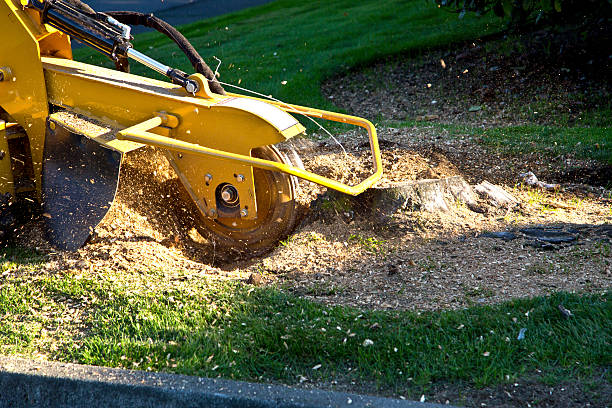 Mulching Services in Roessleville, NY